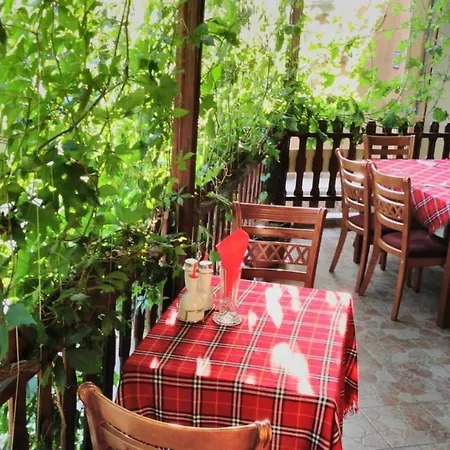 Bonita Солнечный берег